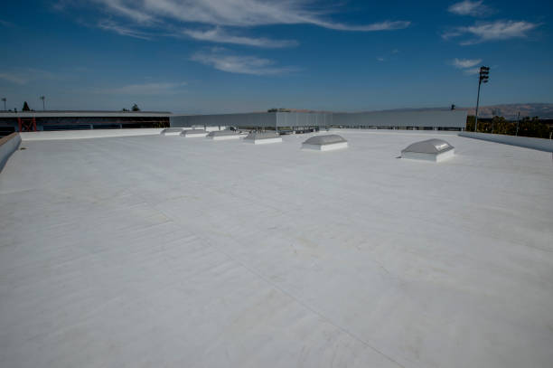 Best Flat Roofing  in Olivet, NJ